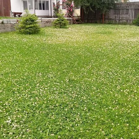 Vila Laura Buşteni Esterno foto